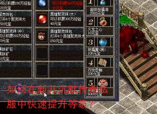 如何在新开沉默传奇私服中快速提升等级? 如何在新开沉默传奇私服中快速提升等级?