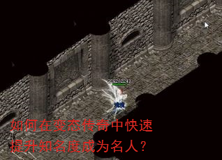 如何在变态传奇中快速提升知名度成为名人? 如何在变态传奇中快速提升知名度成为名人?