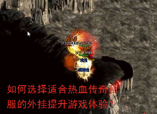 ���ѡ���ʺ���Ѫ����˽�������������Ϸ���飿