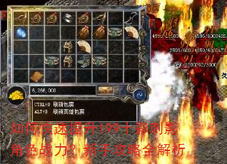 如何快速提升199十彩刺影角色战力?新手攻略全解析 如何快速提升199十彩刺影角色战力?新手攻略全解析