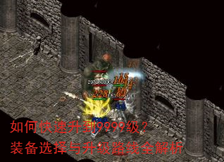 如何快速升到9999级?装备选择与升级路线全解析 如何快速升到9999级?装备选择与升级路线全解析