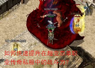��ο��������ڳ���̬��ְҵ����˽���е�ս������