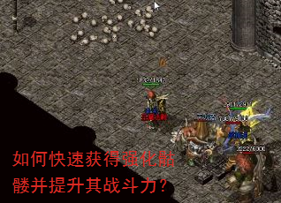 如何快速获得强化骷髅并提升其战斗力? 如何快速获得强化骷髅并提升其战斗力?