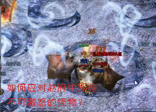 如何应对赵府中那些不可激怒的怪物? 如何应对赵府中那些不可激怒的怪物?