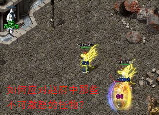 如何应对赵府中那些不可激怒的怪物? 如何应对赵府中那些不可激怒的怪物?