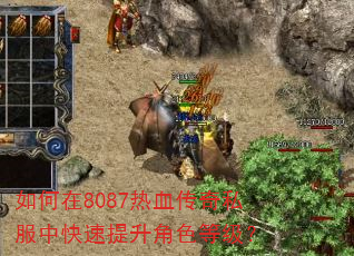 如何在8087热血传奇私服中快速提升角色等级? 如何在8087热血传奇私服中快速提升角色等级?
