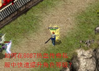 如何在8087热血传奇私服中快速提升角色等级? 如何在8087热血传奇私服中快速提升角色等级?