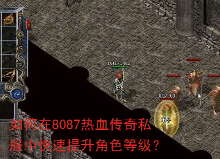 如何在8087热血传奇私服中快速提升角色等级? 如何在8087热血传奇私服中快速提升角色等级?