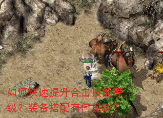 如何快速提升合击技能等级?装备搭配有何秘诀? 如何快速提升合击技能等级?装备搭配有何秘诀?
