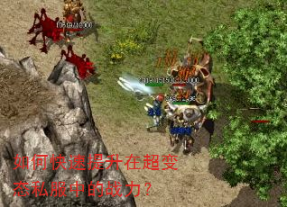 如何快速提升在超变态私服中的战力? 如何快速提升在超变态私服中的战力?