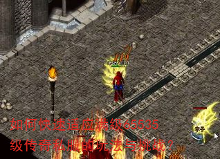 如何快速适应满级65535级传奇私服的玩法与挑战? 如何快速适应满级65535级传奇私服的玩法与挑战?