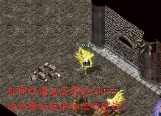 如何快速适应满级65535级传奇私服的玩法与挑战? 如何快速适应满级65535级传奇私服的玩法与挑战?