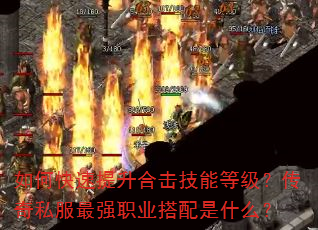 如何快速提升合击技能等级?传奇私服最强职业搭配是什么? 如何快速提升合击技能等级?传奇私服最强职业搭配是什么?