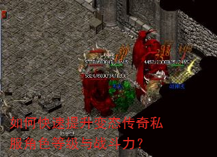 如何快速提升变态传奇私服角色等级与战斗力? 如何快速提升变态传奇私服角色等级与战斗力?