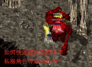 如何快速提升变态千年私服角色等级与战力? 如何快速提升变态千年私服角色等级与战力?