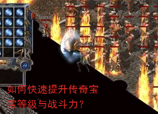 如何快速提升传奇宝宝等级与战斗力? 如何快速提升传奇宝宝等级与战斗力?
