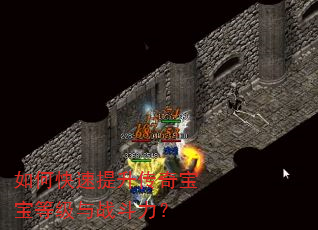 如何快速提升传奇宝宝等级与战斗力? 如何快速提升传奇宝宝等级与战斗力?