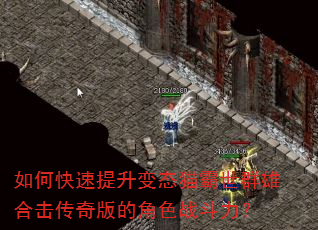 如何快速提升变态猫霸世群雄合击传奇版的角色战斗力? 如何快速提升变态猫霸世群雄合击传奇版的角色战斗力?