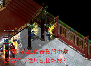 如何在热血传奇私服中高效培养与运用强化骷髅? 如何在热血传奇私服中高效培养与运用强化骷髅?
