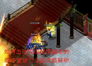 如何击败雪山秘境副本的最终首领?全面攻略解析 如何击败雪山秘境副本的最终首领?全面攻略解析