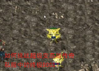 如何挑战超级变态版传奇私服中的终极BOSS? 如何挑战超级变态版传奇私服中的终极BOSS?