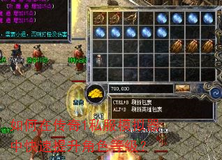如何在传奇1私服模拟器中快速提升角色等级? 如何在传奇1私服模拟器中快速提升角色等级?