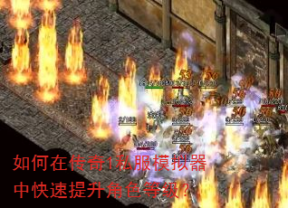 如何在传奇1私服模拟器中快速提升角色等级? 如何在传奇1私服模拟器中快速提升角色等级?