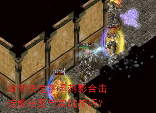 如何快速掌握刺影合击技能搭配与实战技巧? 如何快速掌握刺影合击技能搭配与实战技巧?