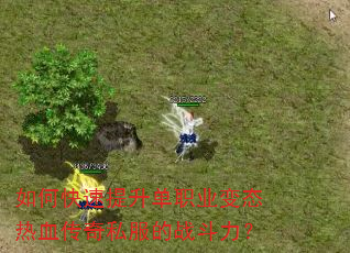 如何快速提升单职业变态热血传奇私服的战斗力? 如何快速提升单职业变态热血传奇私服的战斗力?