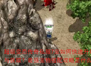 超级变态传奇私服7宠如何快速升级与获取?最强宠物搭配攻略是什么? 超级变态传奇私服7宠如何快速升级与获取?最强宠物搭配攻略是什么?