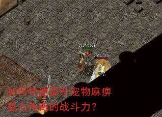 如何快速提升宠物麻痹复古传奇的战斗力? 如何快速提升宠物麻痹复古传奇的战斗力?