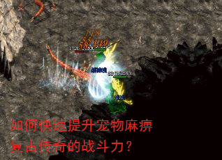 如何快速提升宠物麻痹复古传奇的战斗力? 如何快速提升宠物麻痹复古传奇的战斗力?