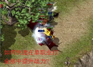 如何快速在单职业打金服中提升战力? 如何快速在单职业打金服中提升战力?