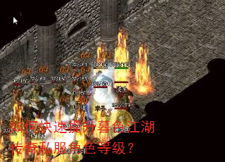 如何快速提升暮色江湖传奇私服角色等级? 如何快速提升暮色江湖传奇私服角色等级?