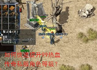 如何快速提升99热血传奇私服角色等级? 如何快速提升99热血传奇私服角色等级?