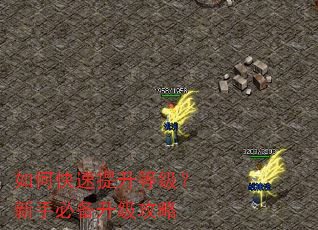 如何快速提升等级?新手必备升级攻略 如何快速提升等级?新手必备升级攻略