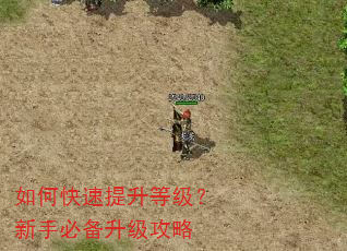 如何快速提升等级?新手必备升级攻略 如何快速提升等级?新手必备升级攻略