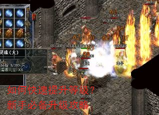 如何快速提升等级?新手必备升级攻略 如何快速提升等级?新手必备升级攻略