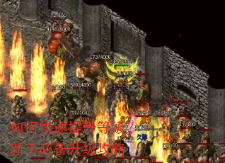 如何快速提升等级?新手必备升级攻略 如何快速提升等级?新手必备升级攻略
