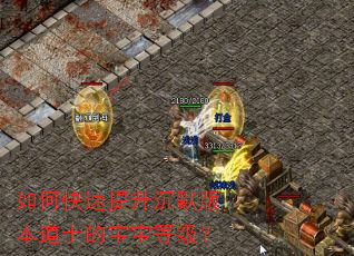 如何快速提升沉默版本道士的宝宝等级? 如何快速提升沉默版本道士的宝宝等级?