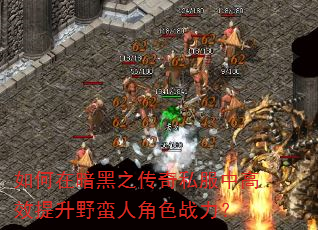 如何在暗黑之传奇私服中高效提升野蛮人角色战力? 如何在暗黑之传奇私服中高效提升野蛮人角色战力?