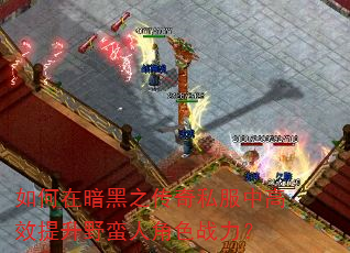 如何在暗黑之传奇私服中高效提升野蛮人角色战力? 如何在暗黑之传奇私服中高效提升野蛮人角色战力?