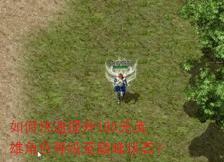 如何快速提升185无英雄角色等级至巅峰状态? 如何快速提升185无英雄角色等级至巅峰状态?