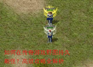 如何在传奇游戏野图持久刷怪?高效攻略全解析 如何在传奇游戏野图持久刷怪?高效攻略全解析