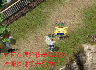 如何在原始传奇私服变态服快速提升战力? 如何在原始传奇私服变态服快速提升战力?