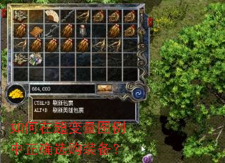 如何在超变量图例中正确选购装备? 如何在超变量图例中正确选购装备?