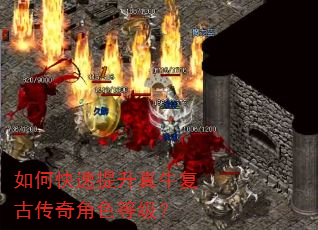 如何快速提升真牛复古传奇角色等级? 如何快速提升真牛复古传奇角色等级?