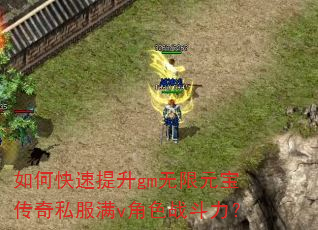 如何快速提升gm无限元宝传奇私服满v角色战斗力? 如何快速提升gm无限元宝传奇私服满v角色战斗力?