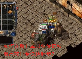 如何在新开单职业传奇私服高效打金快速起步? 如何在新开单职业传奇私服高效打金快速起步?