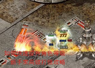 如何快速提升角色等级?新手求高效打怪攻略 如何快速提升角色等级?新手求高效打怪攻略